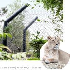 Zoo Zürich