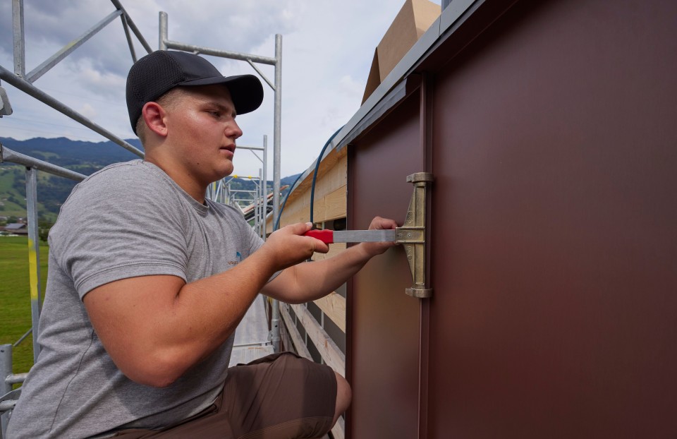 Pannelli per facciate VMZINC PIGMENTO® Seiler Käserei AG